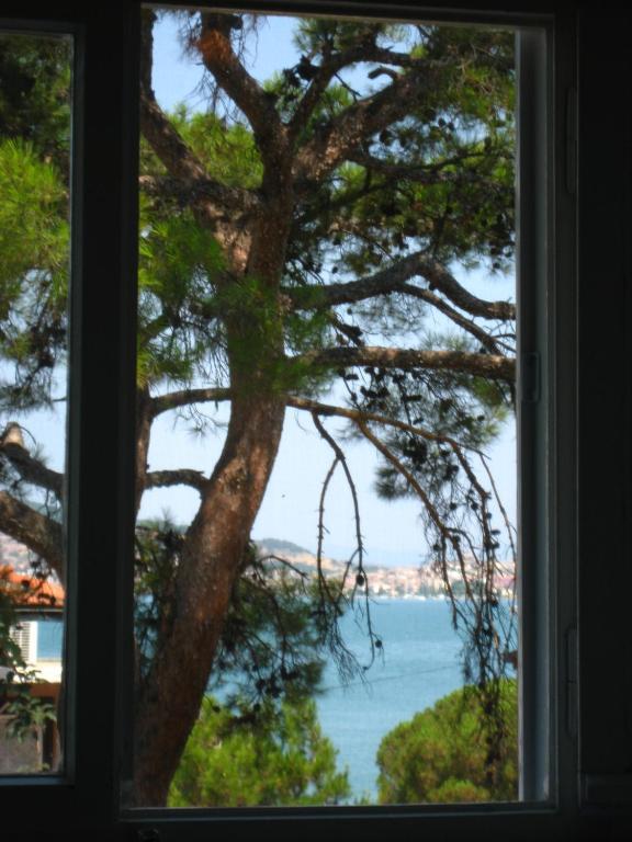 Mavi Pension Hotel Ayvalik Luaran gambar